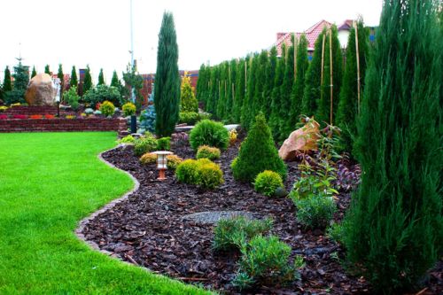 Projekt i wdrożenie - ogród Złotów